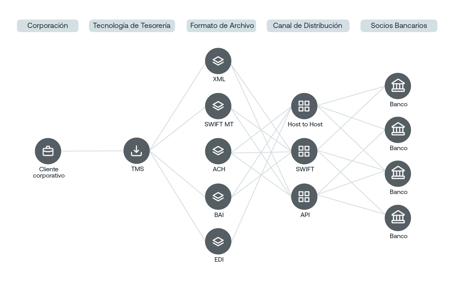 Representación visual: conexión de datos